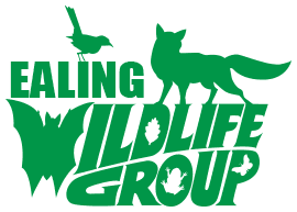 Ealing Wildlife Group