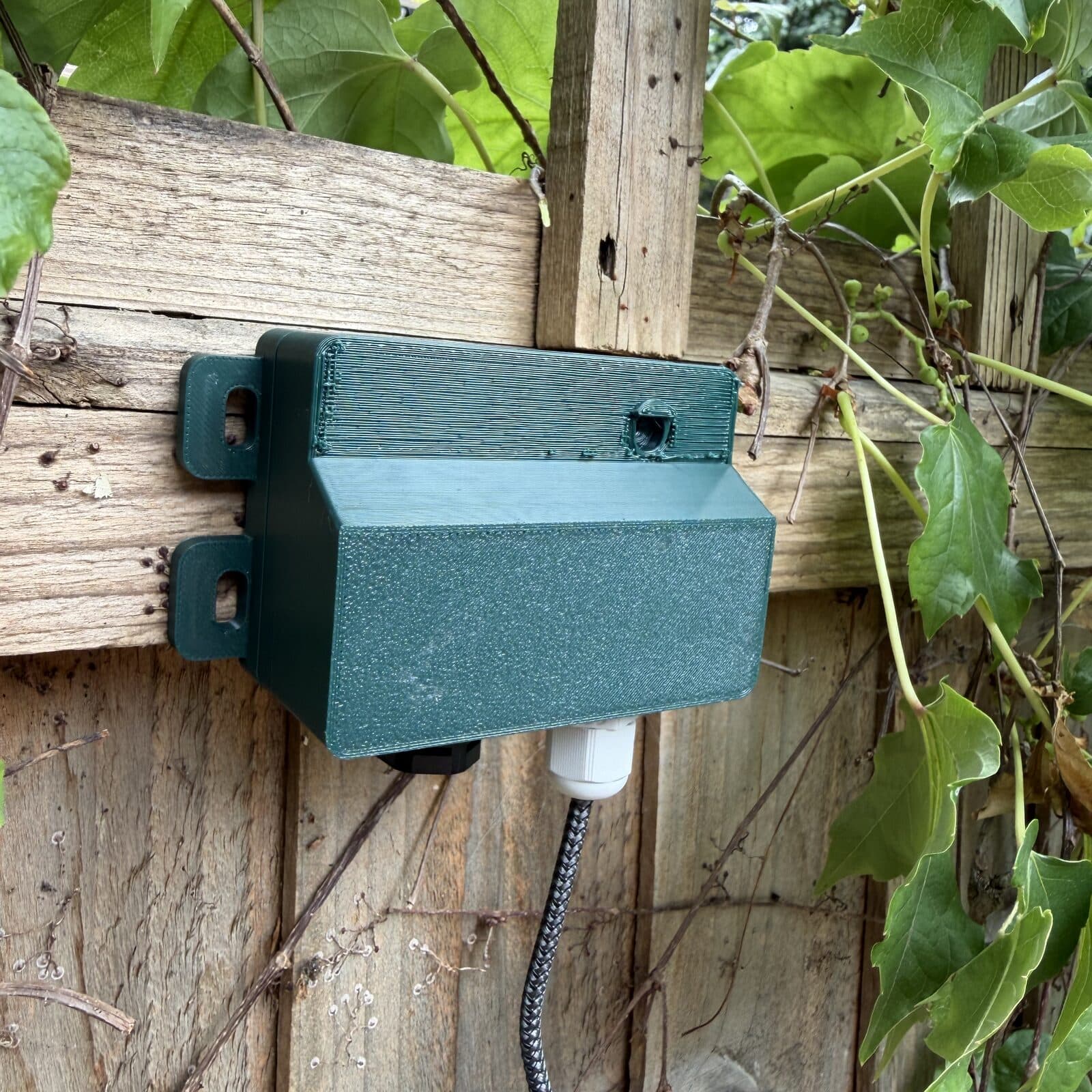 The listening post on a fence among climbing foliage, showing the two mounting brackets that hold it to the rail.