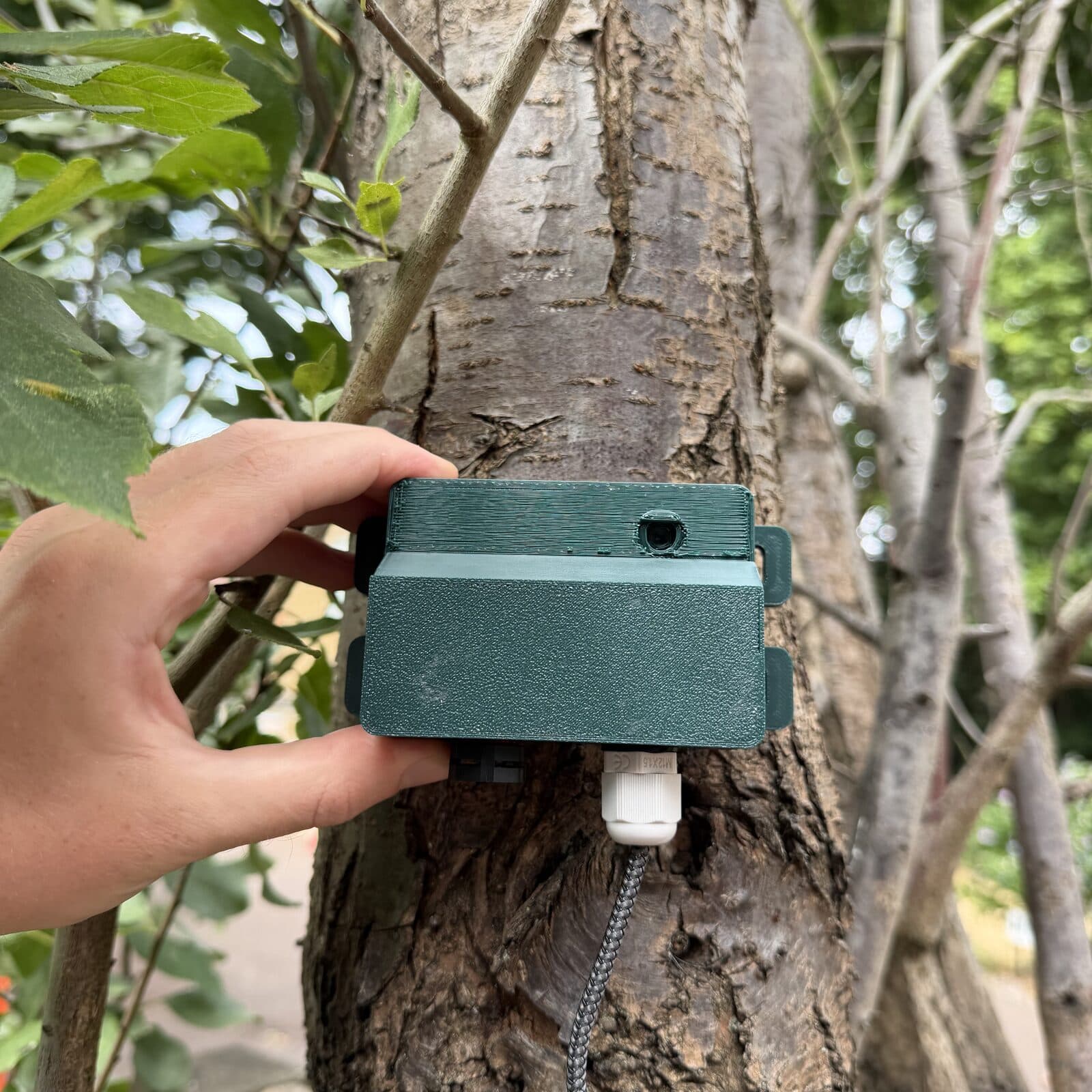 A hand holding the listening post against a tree trunk, showing that the unit is roughly the size of a palm.